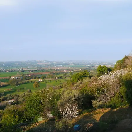 Oda ve Kahvaltı Del Cactus