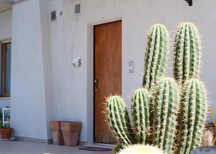 Del Cactus * Corridonia